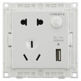 罗格朗开关插座 逸享 白色 带二三插USB充电插座 五孔USB 2400mA